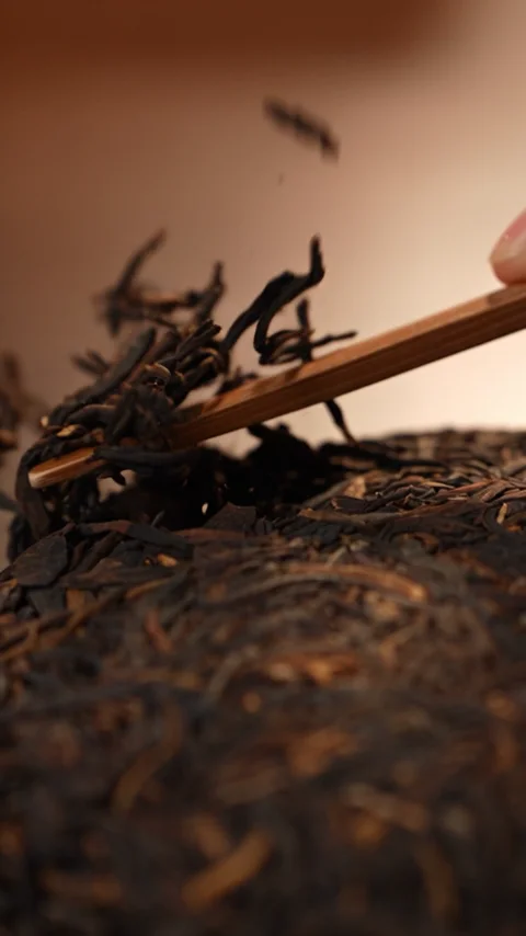 Mulan film: The Master's Tea